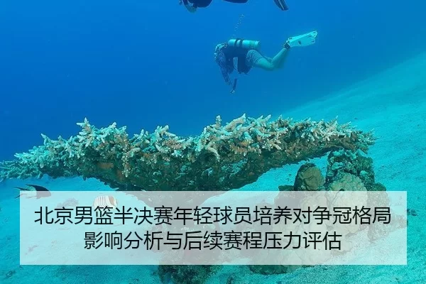 北京男篮半决赛年轻球员培养对争冠格局影响分析与后续赛程压力评估