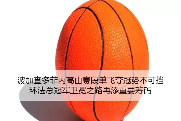 bo-jia-cha-duo-fei-nei-gao-shan-sai-duan-dan-fei-duo-guan-shi-bu-ke-dang-huan-fa-zong-guan-jun-wei-mian-zhi-lu-zai-tian-2-660.jpg